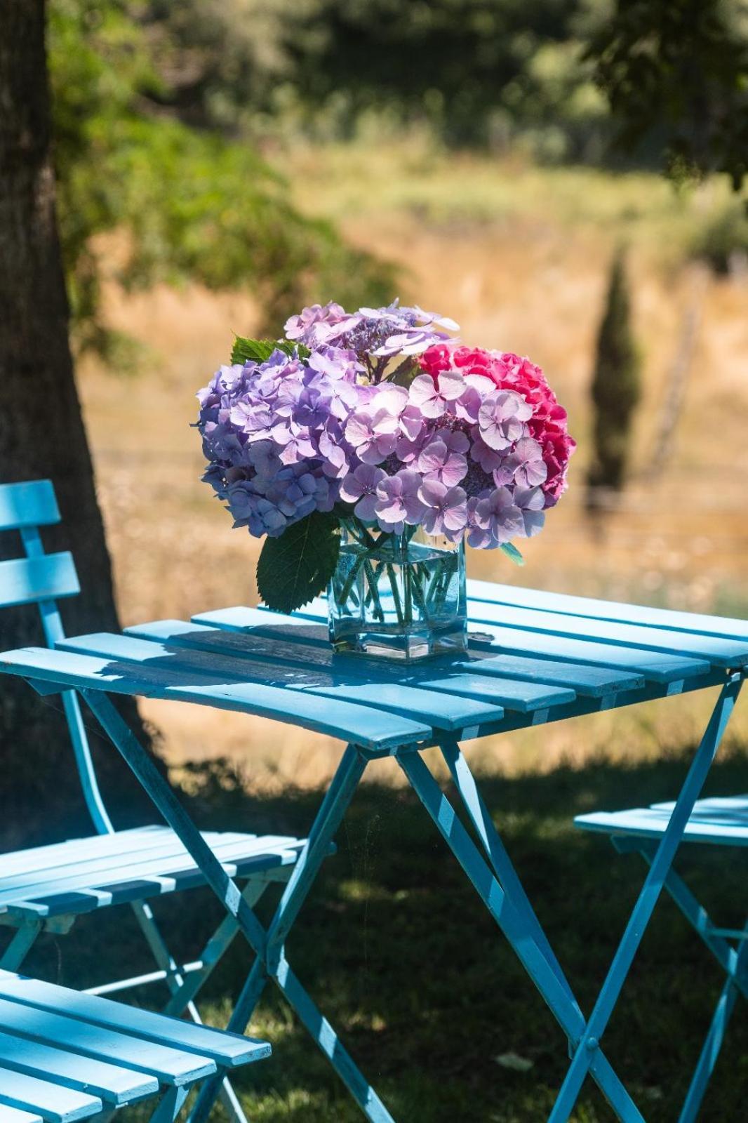 Collina Blu Bed and Breakfast Bolsena Buitenkant foto